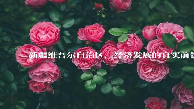 新疆维吾尔自治区，经济发展的真实前景如何？